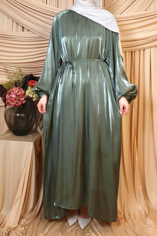 Organza Kleid mit Ballonärmel